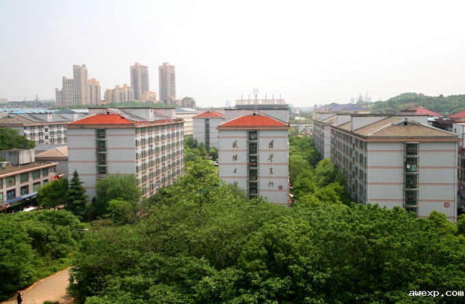 金翰林学生公寓.jpg
